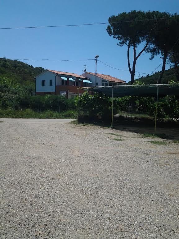 Hotel Rustichello Marina di Campo Kültér fotó